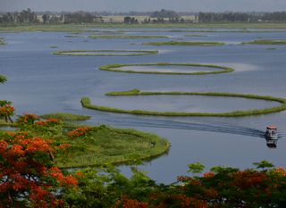 Plutajući otoci na jezeru Loktak u Indiji