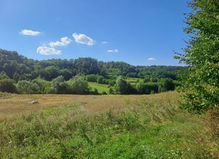 Turopoljska trail utrka Ključić brdo - 1