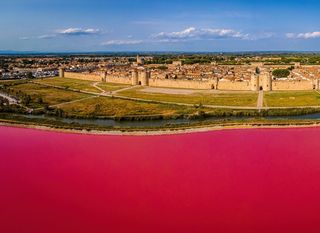 Aigues-Mortes - 4