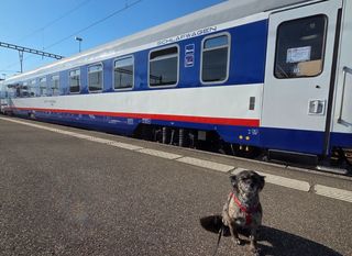 Vlakom s psom u Švicarsku - 8