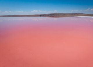Jezero Tuz ljeti postaje ružičasto - 3