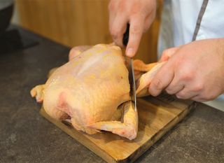 Piletina je jedna od najuobičajenijih namirnica s kojom stvaramo svoje tjedne ručkove ili večere
