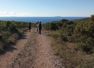 Camino Korčula - 6