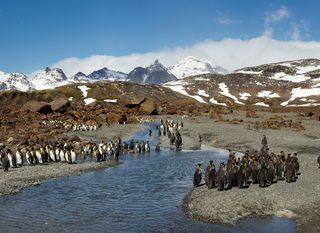 Kerguelen - 1