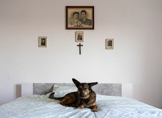 Luka Dubroja: The Gaze - 4