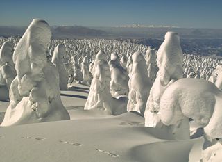 Snježna čudovišta - 7