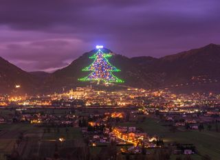 Najveće božićno drvce na svijetu - 3