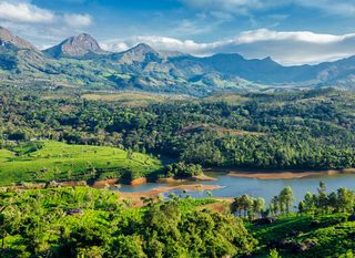 Munnar, Indija - 5