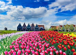 Nizozemska u proljeće - 3