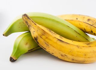 Plantana banane