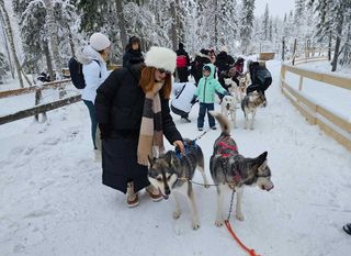 Putovanje u Laponiju - 8