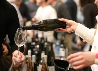 100 najboljih vina Hrvatske - 9