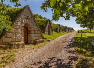 Sárospatak -  vinski podrumi