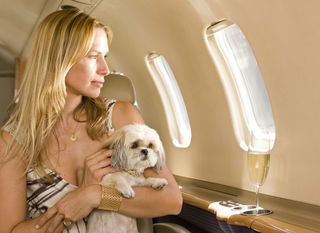 Psi u avionu