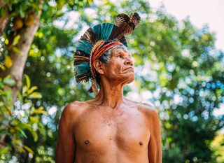 Amazona - 1