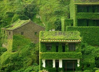 Houtouwan, Kina - 1