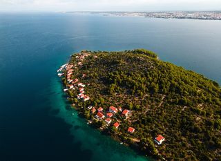 Ošljak - 3