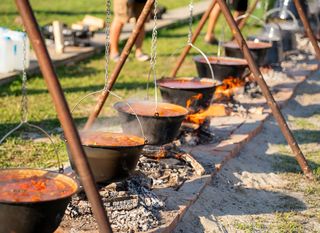 Dunav Fest - 2