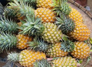 Ananas