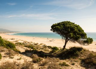 Tarifa ima predivne pješčane plaže