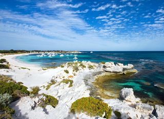 Rottnest - 1