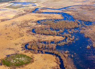 Zima u Hutovom blatu - 5