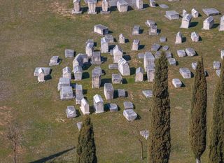 Nekropola Radimlja - 8