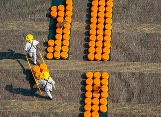 Sajam sira u Alkmaaru - 9