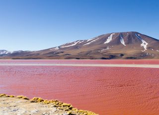 Crvena laguna u Boliviji - 4