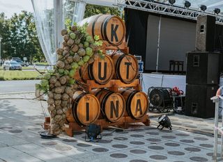 Festival MoslaVina - 4