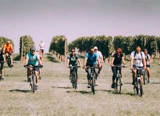 Wine & Bike Tour Erdut