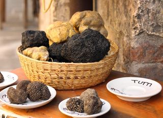 Tartufi