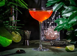 Koktel Goli i slavni (Naked and Famous)