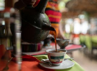 Kava - 1
