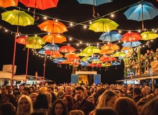 Baš naš festival - 1