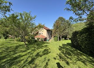 Green Home - 3