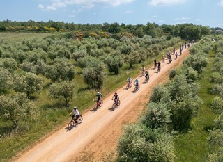 Gourm-E-bike Kaštelir-Labinci - 1
