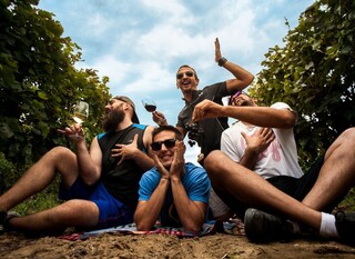 WINE & BIKE TOUR ERDUT