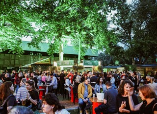 Greencajt festival - 3