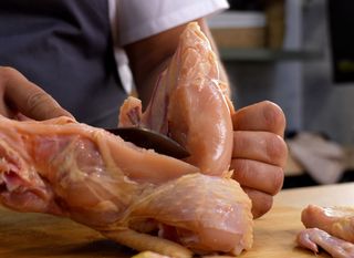 kako trančirati pile - 2