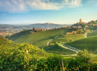 Pijemont je poznata vinorodna regija u Italiji