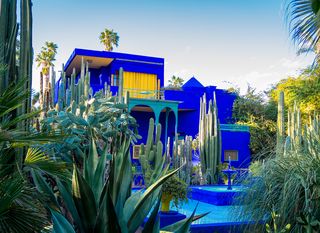 Botanički vrt Majorelle - 5