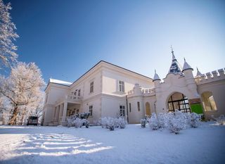 Dvorac Janković, Suhopoljle