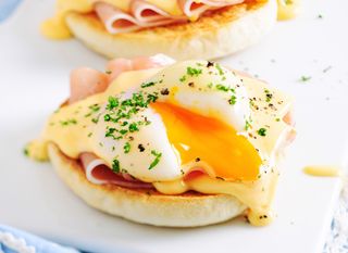 Hollandaise - 1