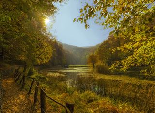 Park-šuma Jankovac