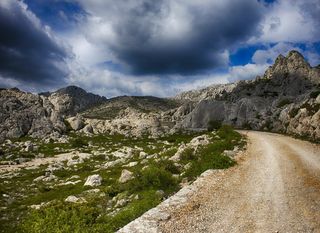 Kviz općeg znanja - 12