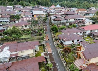 Branje i sušenje klinčića na otoku Tidore u Indoneziji - 4