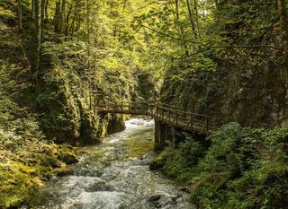 Kanjon Kamačnik, Gorski kotar