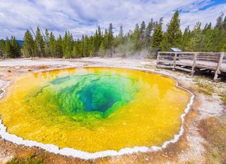 Termalni izvor Morning Glory u Yellowstoneu - 3