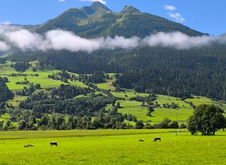 Zell am See - 4